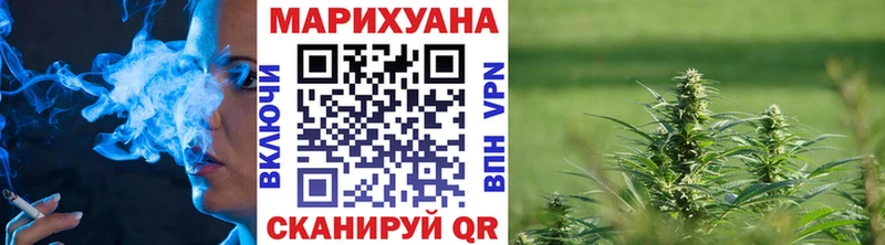 наркота Задонск Конопля сатива